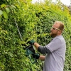 Bosch Universal Hedge CUT 50 Çit Kesme Makinesi