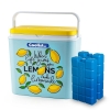 Coolist CLB24LM 24 Litre Limon Desenli Buzluk + 2 Adet 400gr. Buz Kaseti