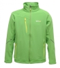 Regatta Davies Softshell Erkek Ceket-YEŞİL