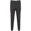 Regatta Highton Trouser Trekking Erkek Pantolon-GRİ