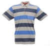 Regatta Quietstorm Polo Yaka Erkek T-Shirt-GRİ